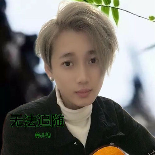 无法追随