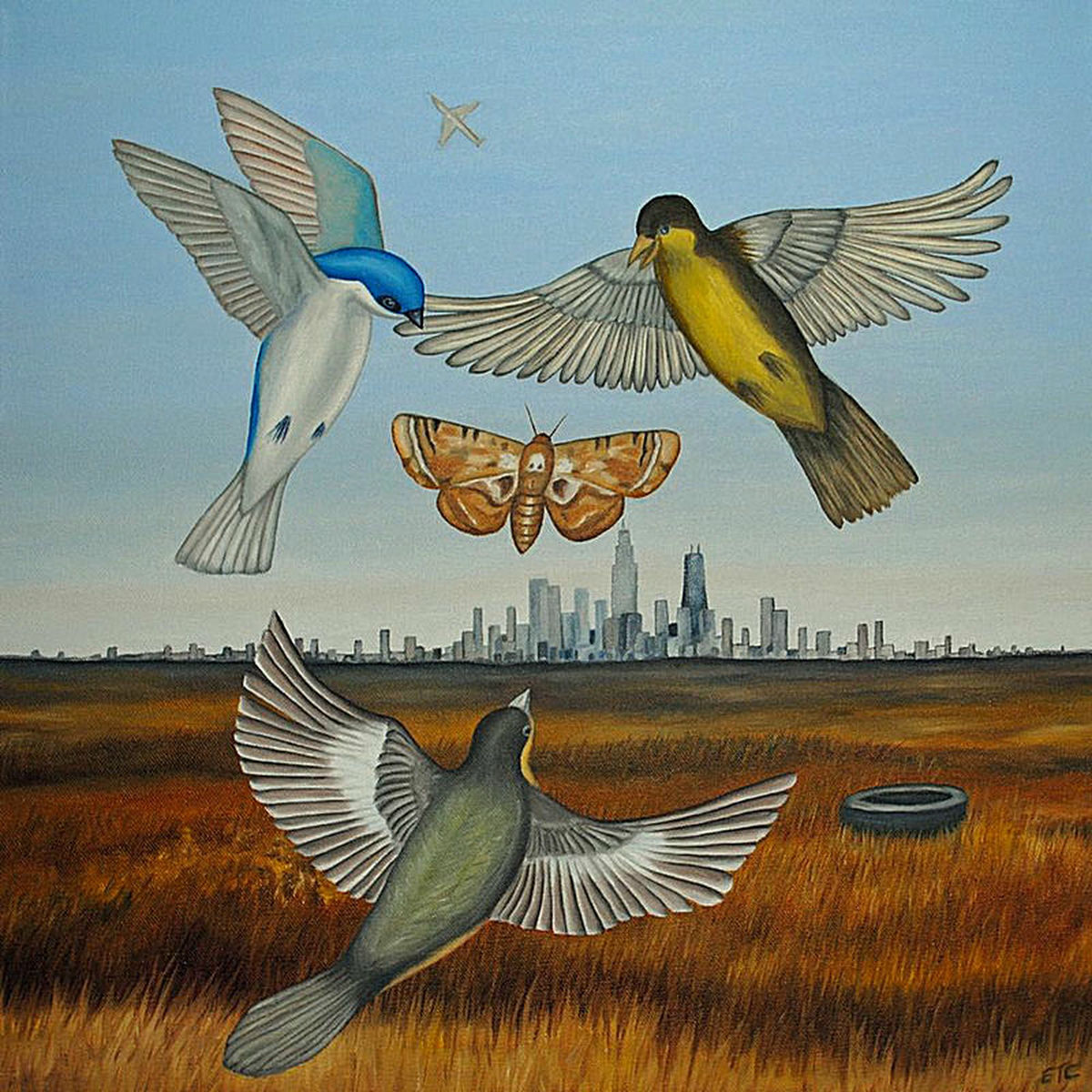 Album cover of The Party on the North Face