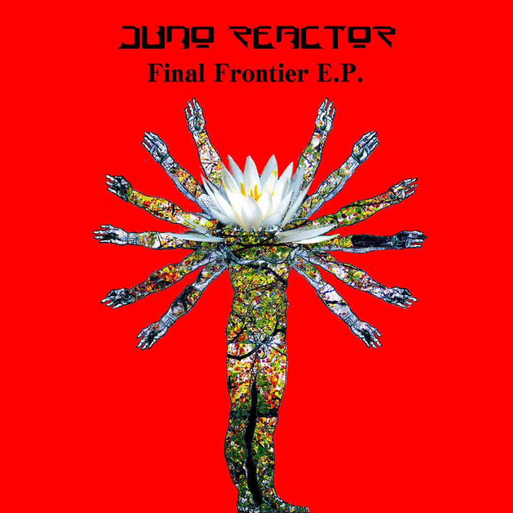 Picture of Final Frontier