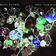 Open Your Eyes (Live in Berlin) by Snow Patrol album cover