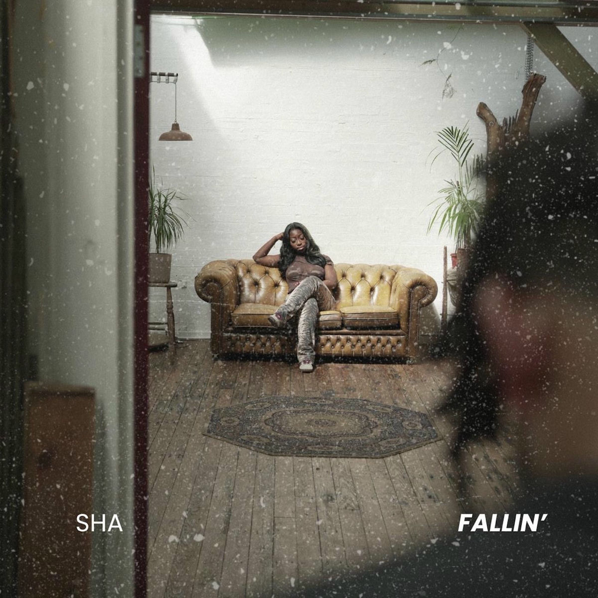Album cover of Fallin'
