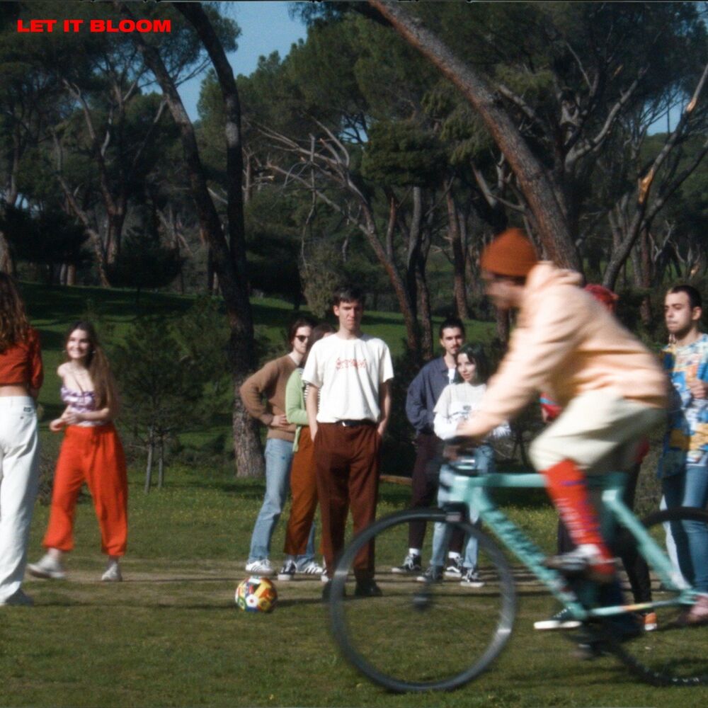 Picture of Let It Bloom