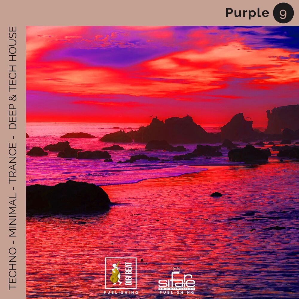 Picture of Purple 9 (Remix Version)