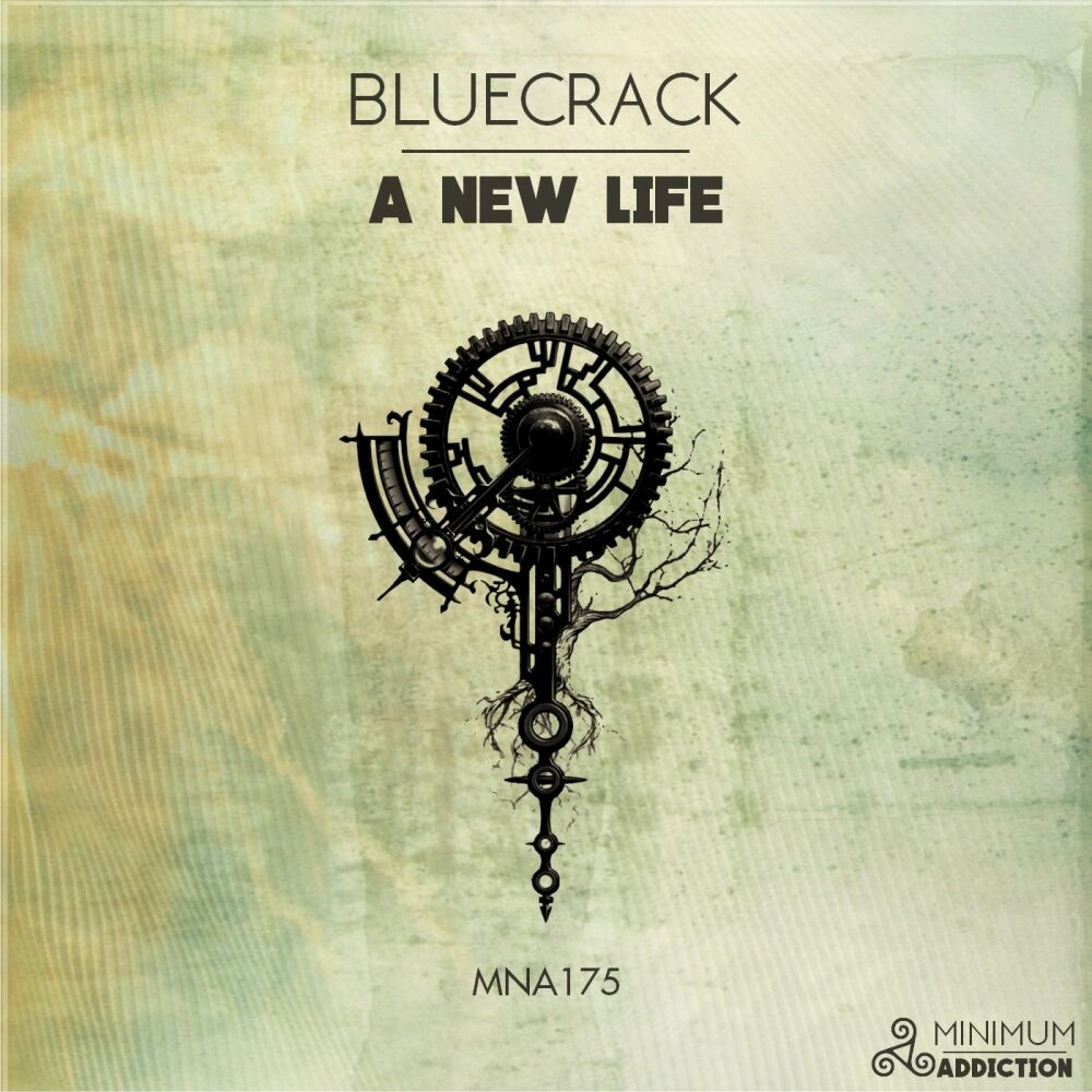 Picture of A New Life