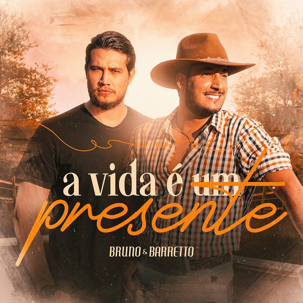 Album cover of A Vida É um Presente