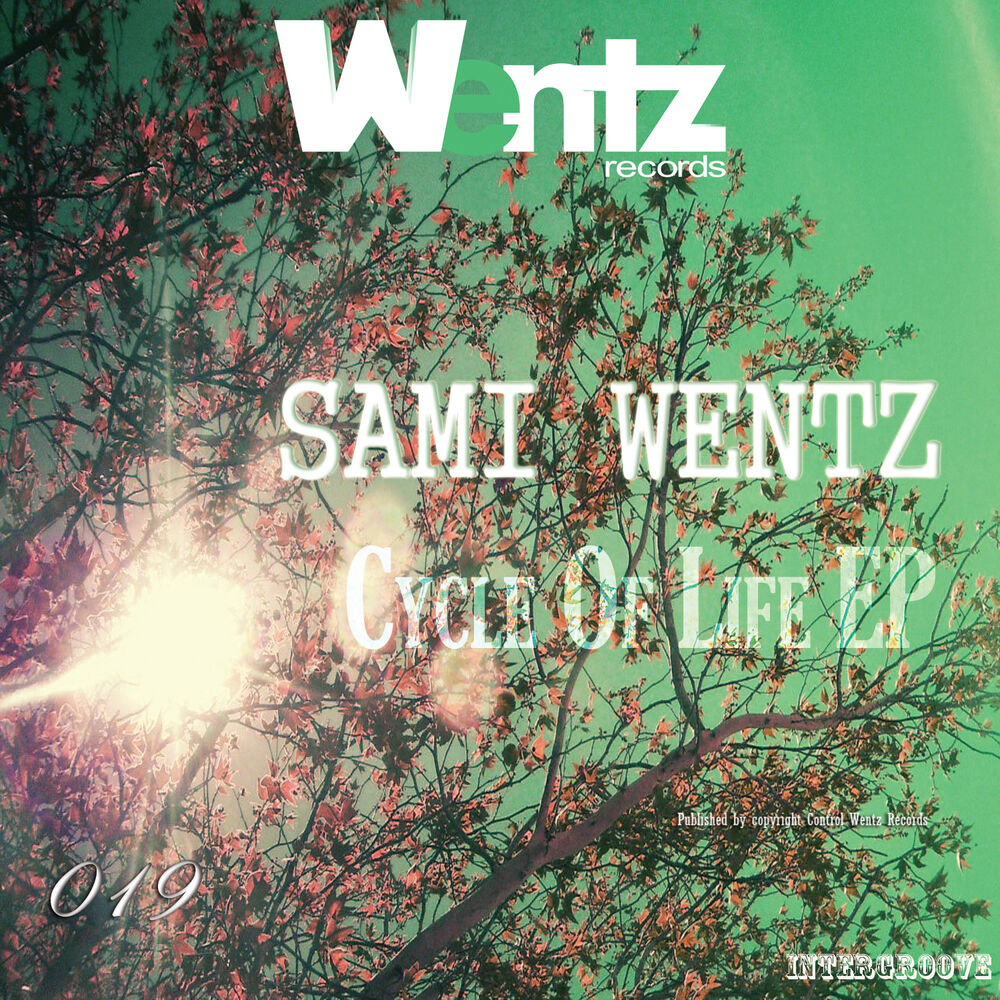 Picture of Sami Wentz - Cycle of Life EP (MP3 Single)