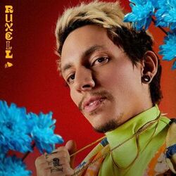 Cover of VIVA