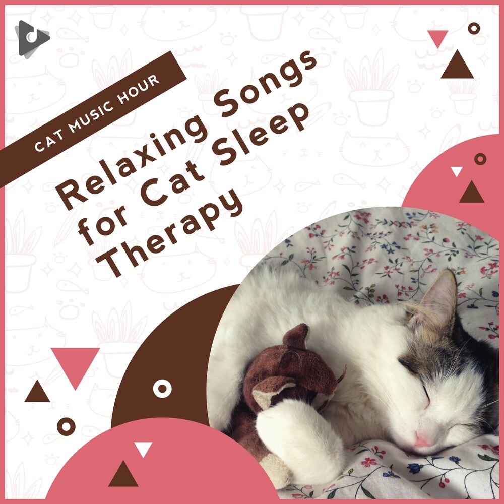 Picture of Relaxing Songs for Cat Sleep Therapy