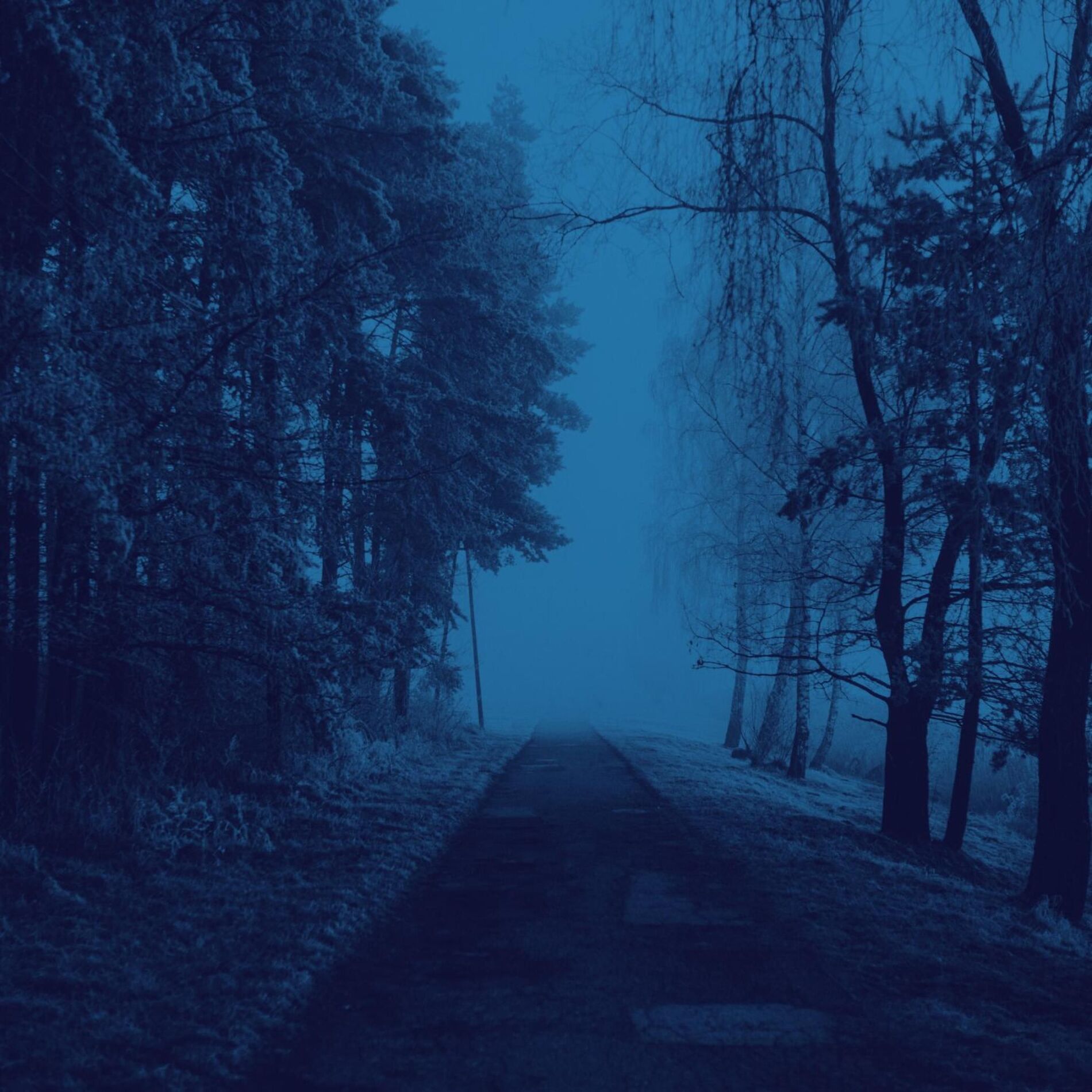 Album cover of Anxiety