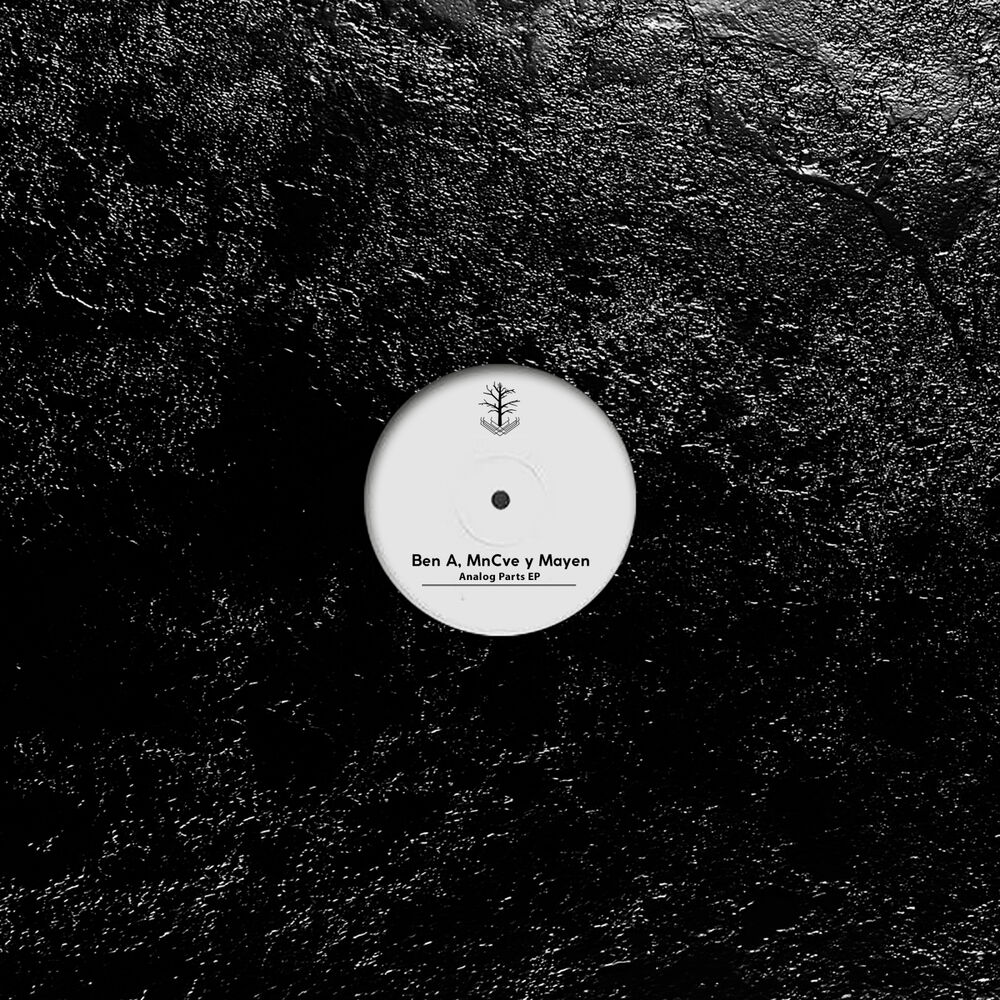 Picture of Analog Parts EP