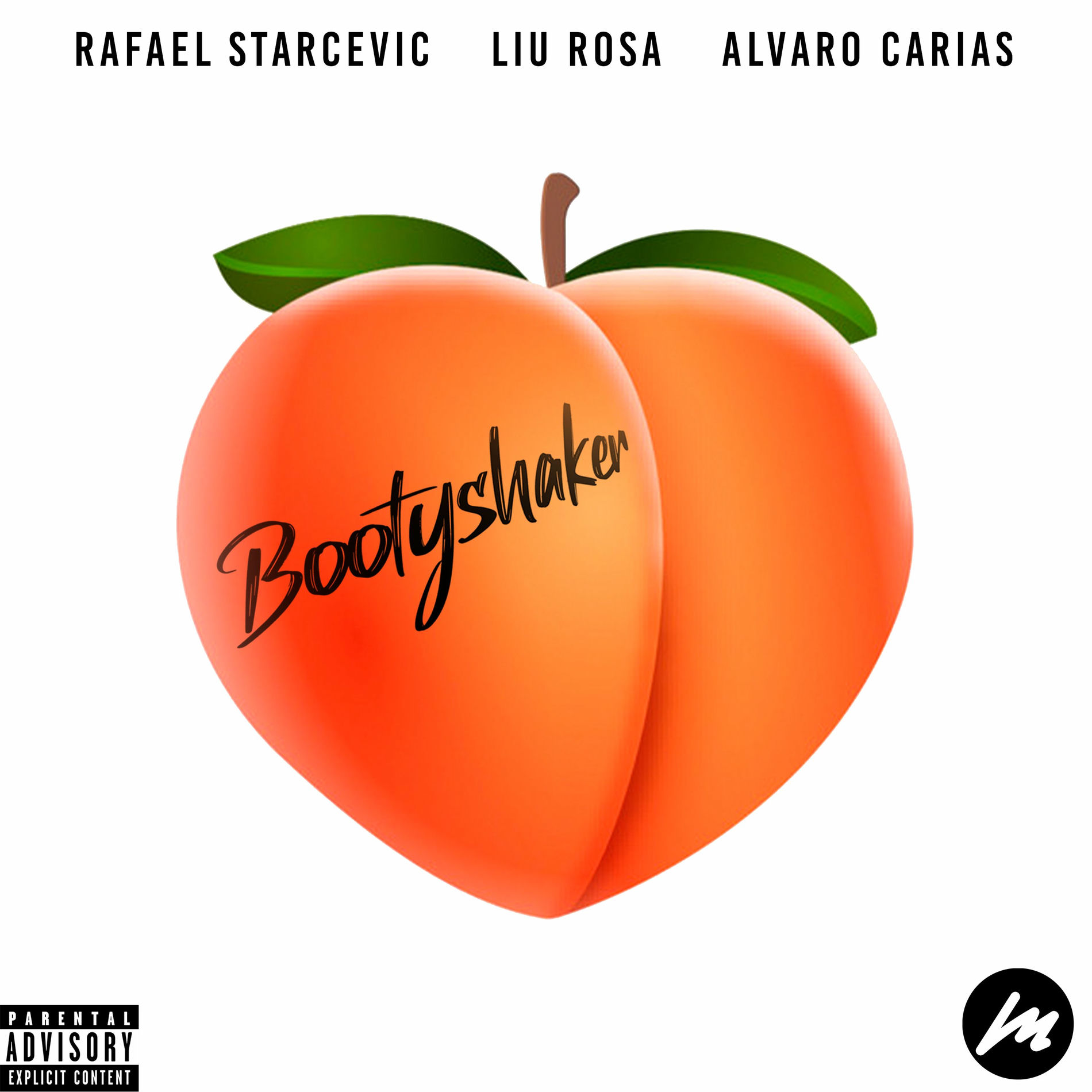 Album cover of Bootyshaker