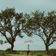 Clothesline by Dylan Gossett album cover