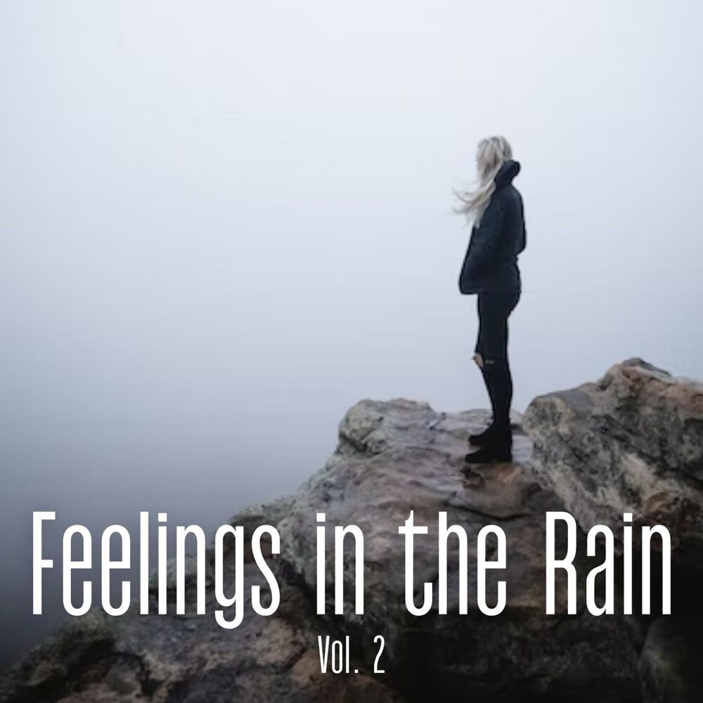 Picture of Feelings in the Rain Vol. 2