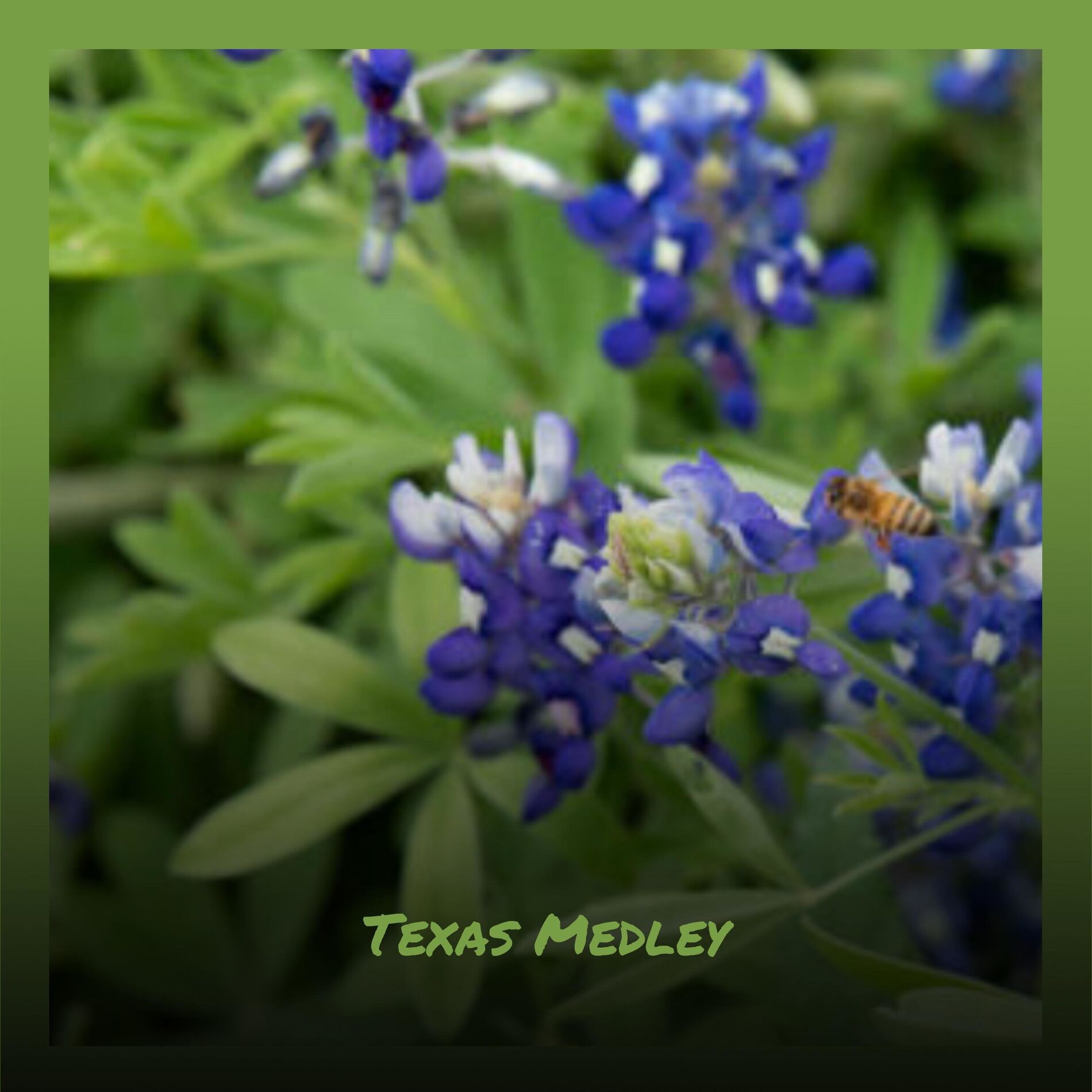 Album cover of Texas Medley