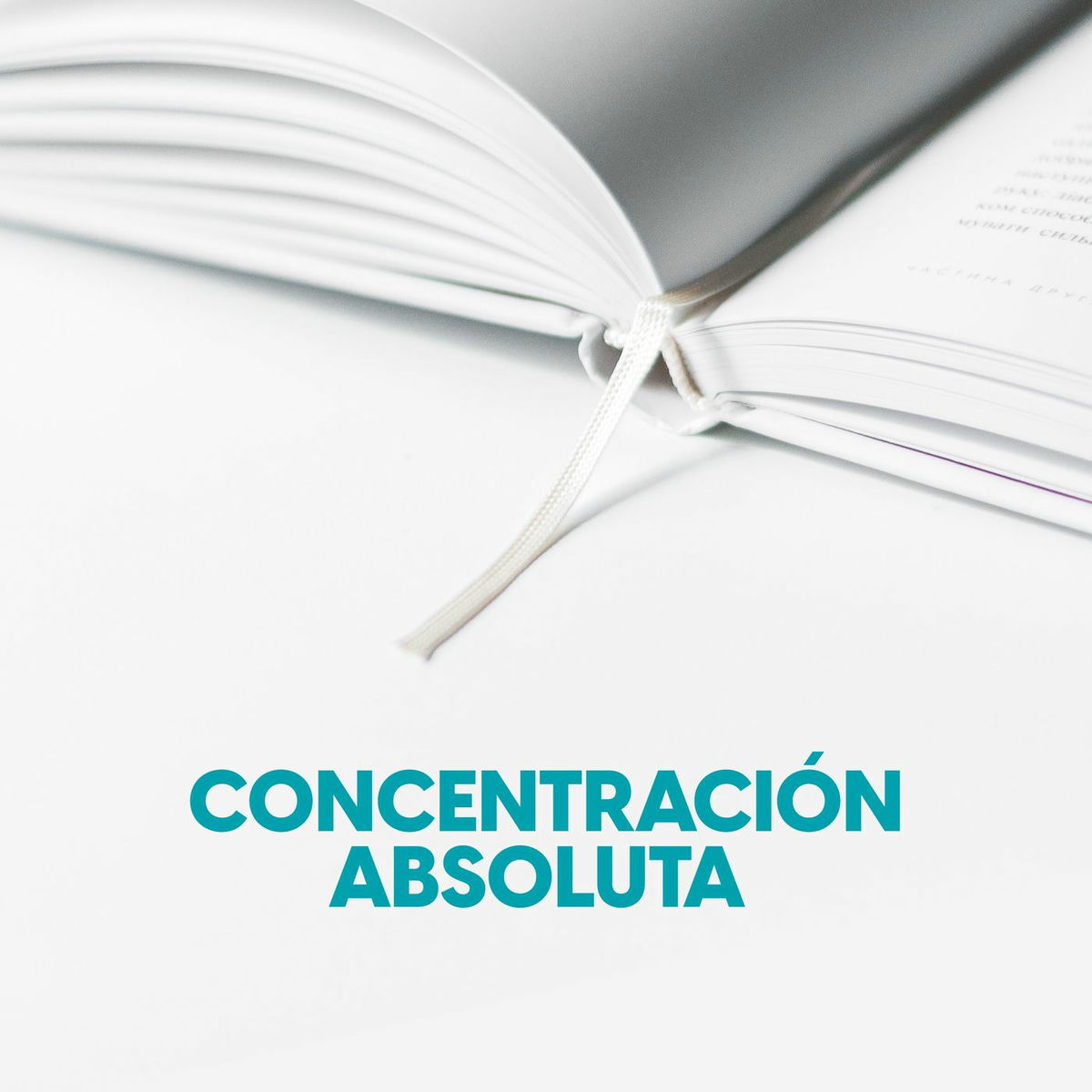 Album cover of Concentración absoluta