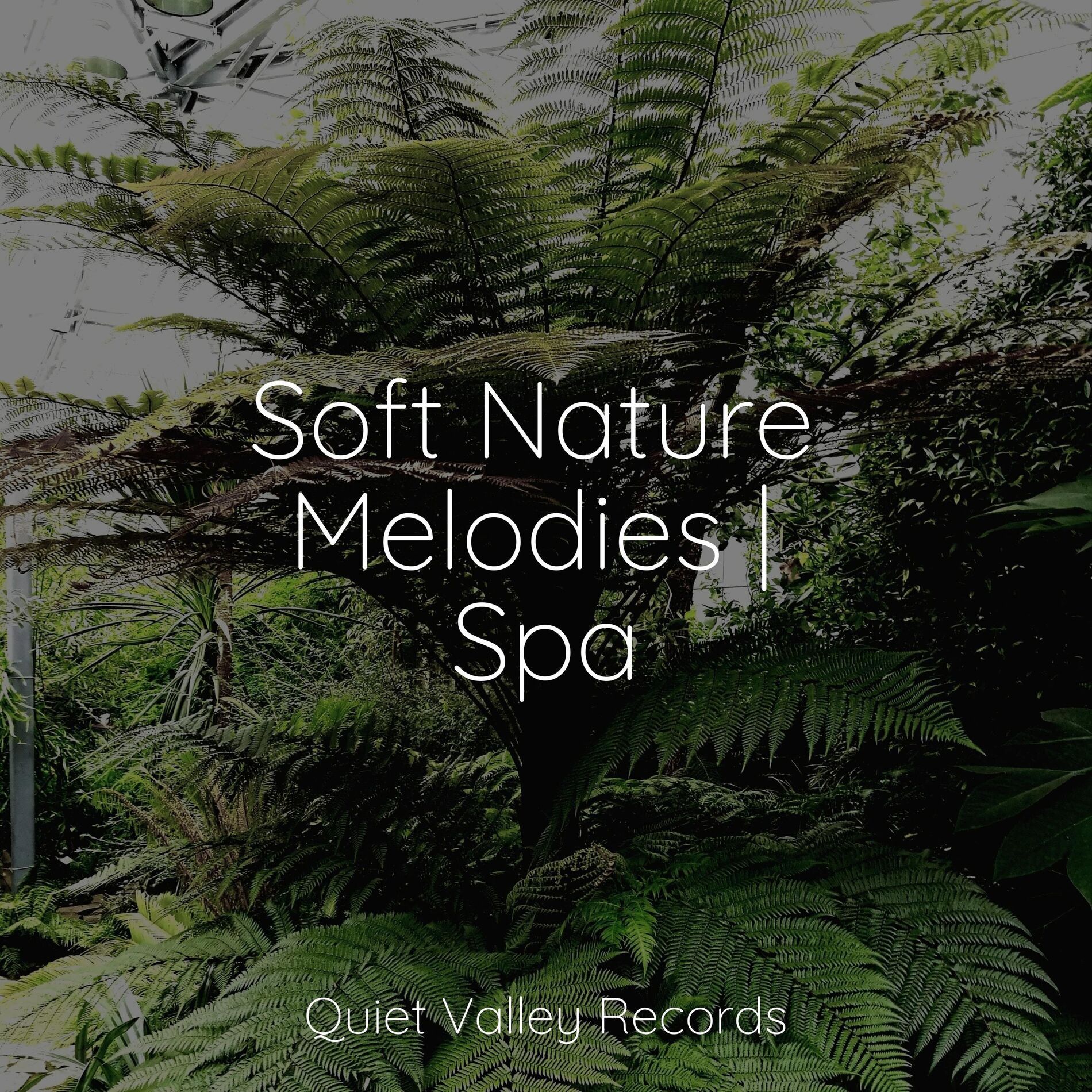 Album cover of Soft Nature Melodies | Spa