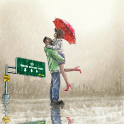 Cover of Umbrella