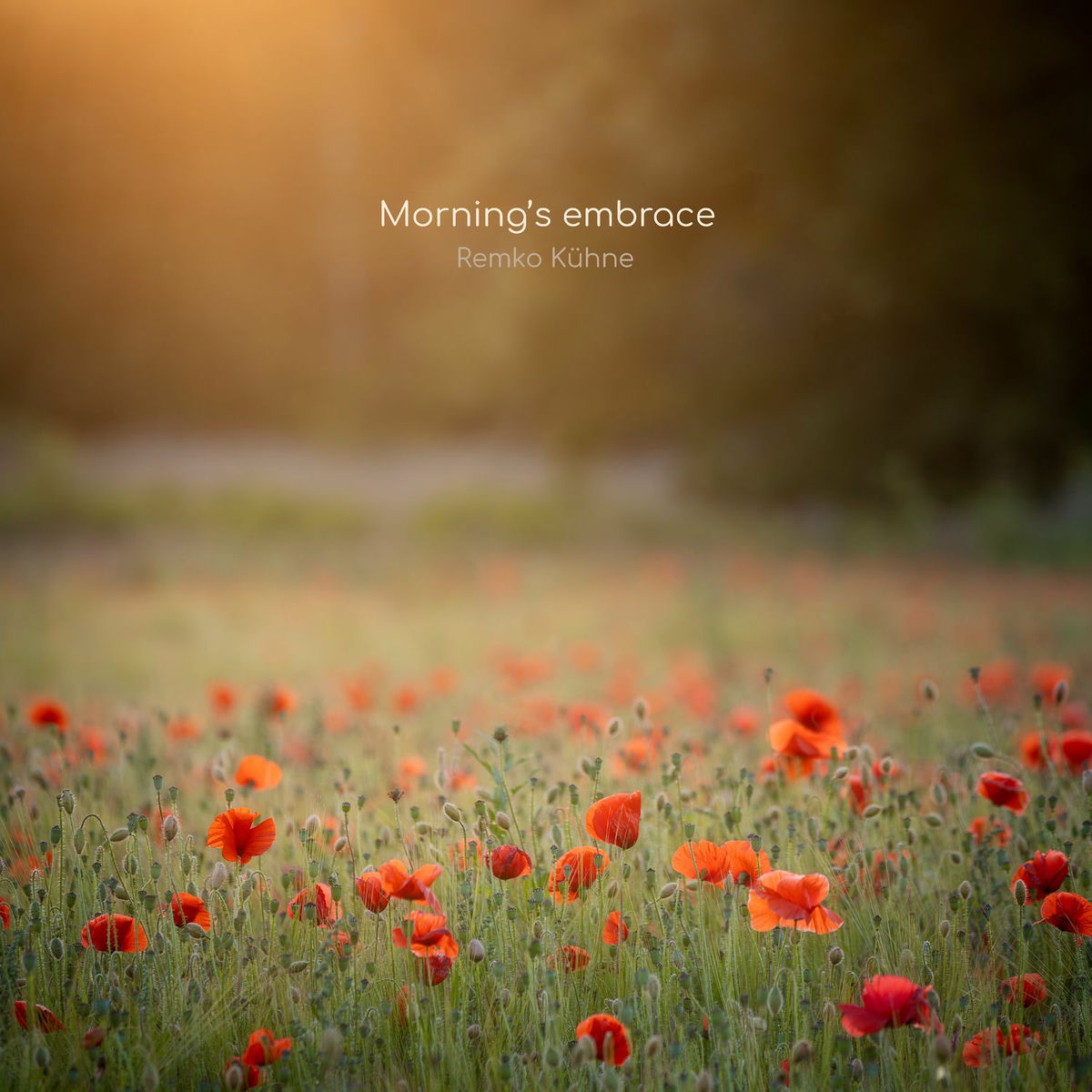 Album cover of Morning's embrace