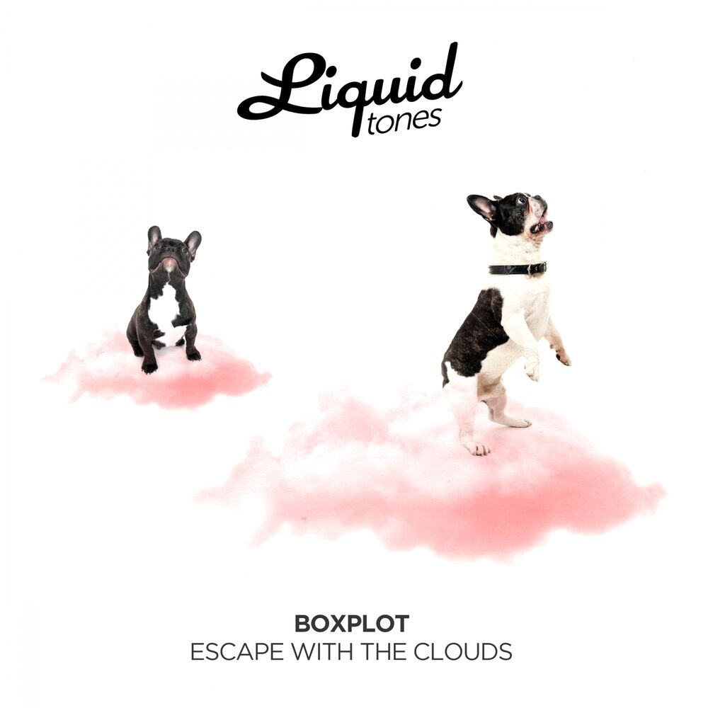 Picture of Escape with the Clouds