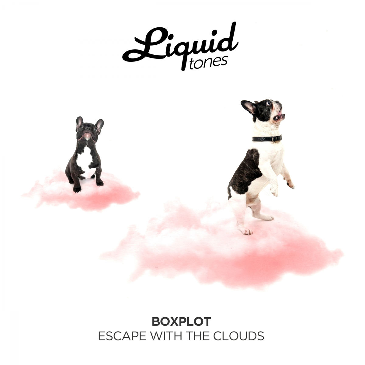 Album cover of Escape with the Clouds