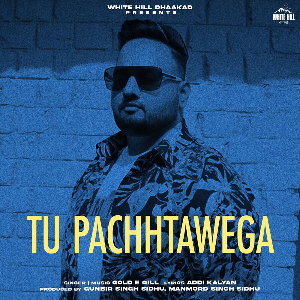 Picture of Tu Pachhtawega