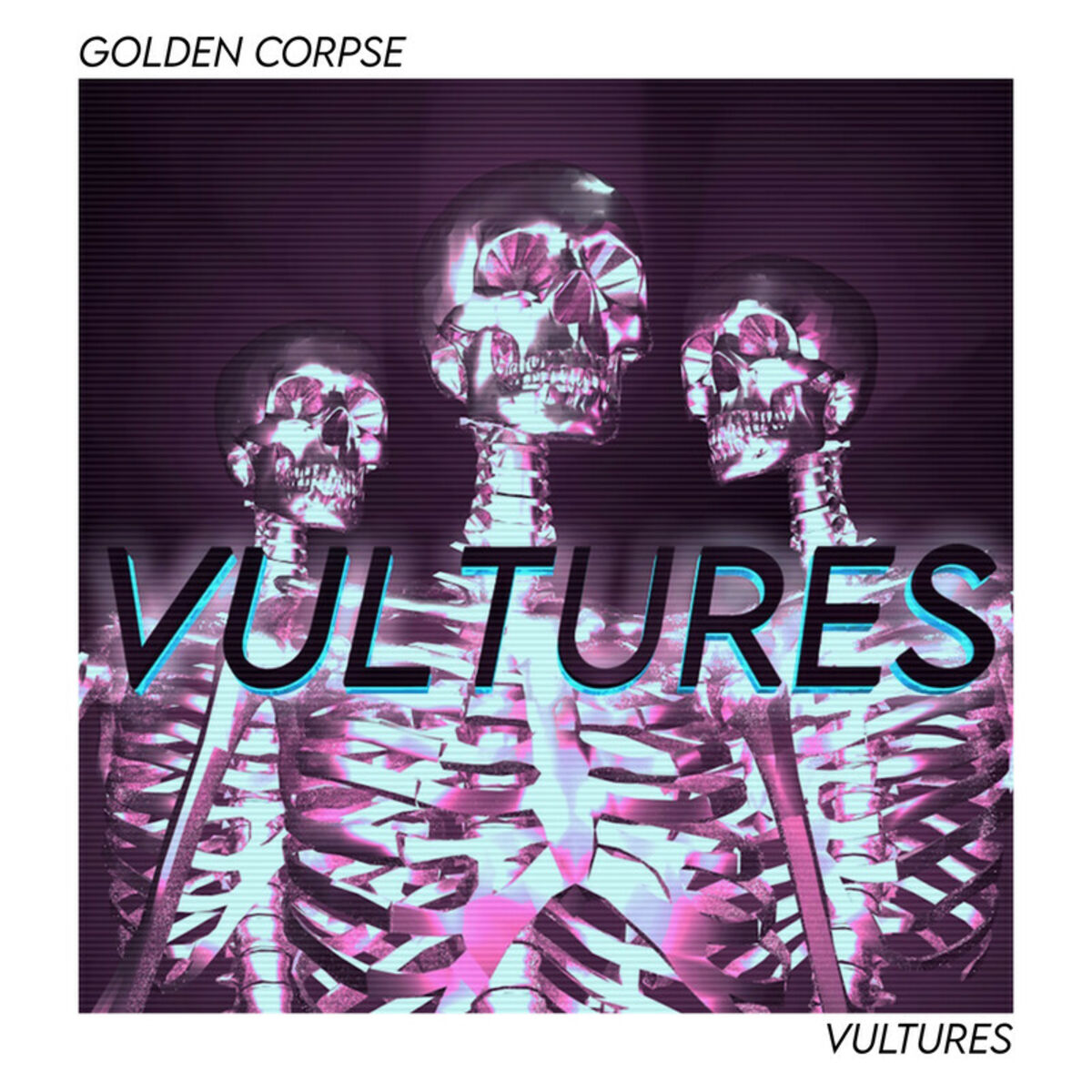 Album cover of VULTURES