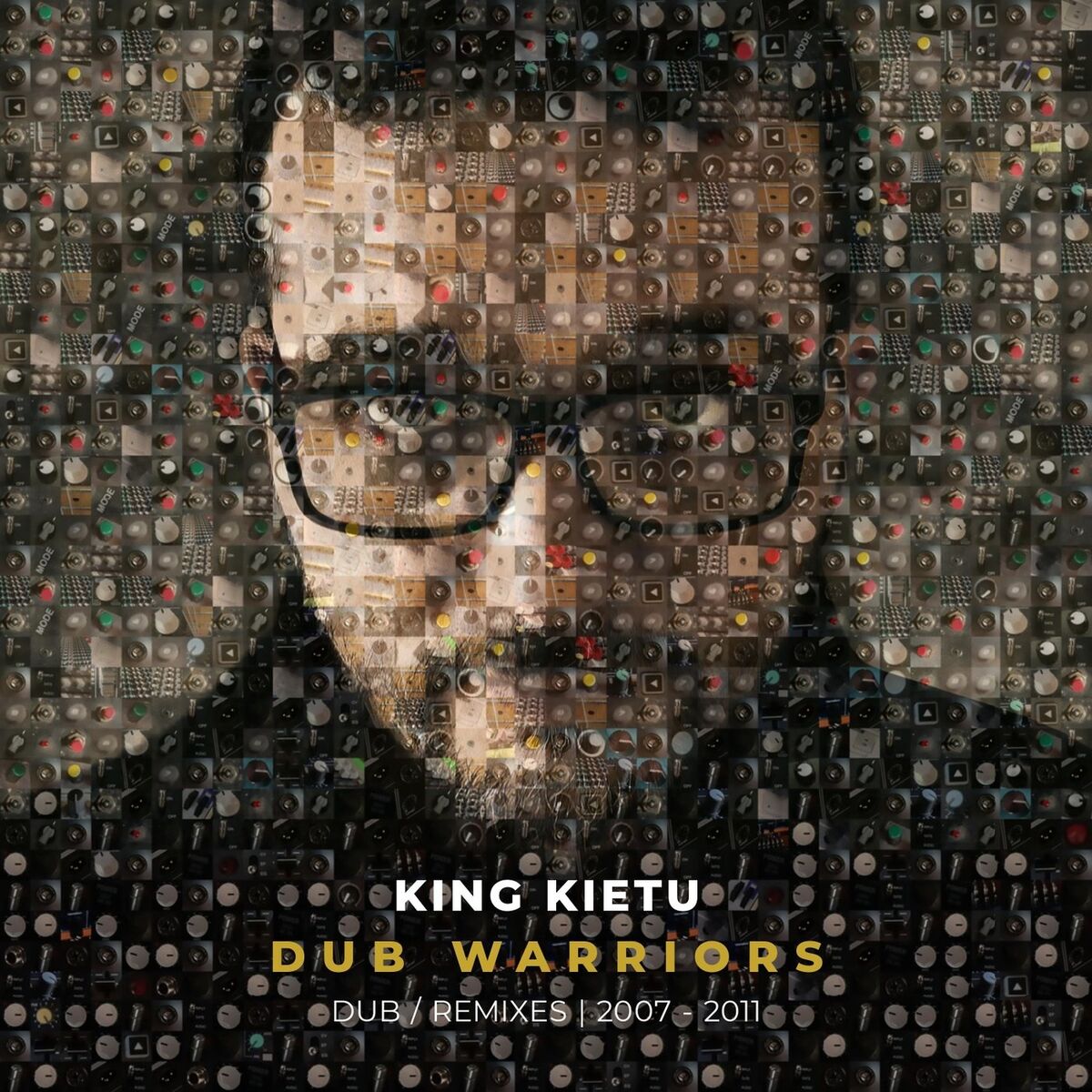 Album cover of Dub Warriors: Dub / Remixes (2007-2011)