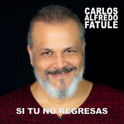 Cover of Si Tu No Regresas