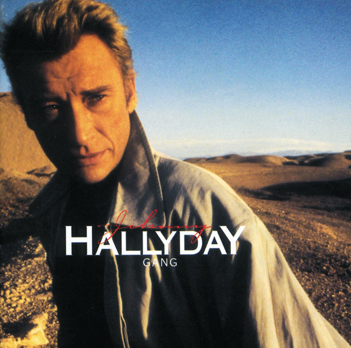Album cover of Laura