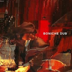 Cover of A.P.C. Presents: Boniche Dub
