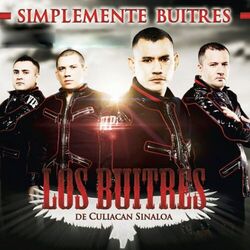 Cover of Simplemente Buitres
