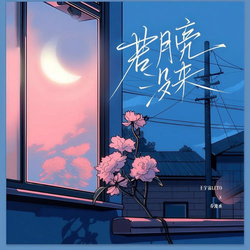 若月亮没来（DJ阿智版）