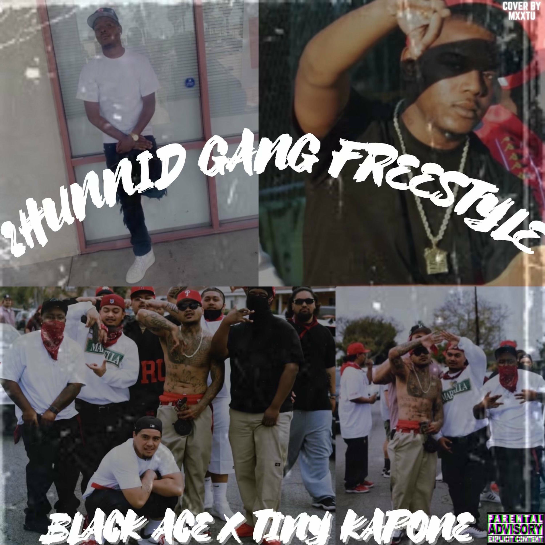 Tiny KaPone - 2Hunnid Gang Freestyle (feat. Black Ace) | Deezer