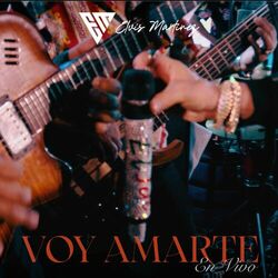 Cover of Voy Amarte (En Vivo - Special Version)