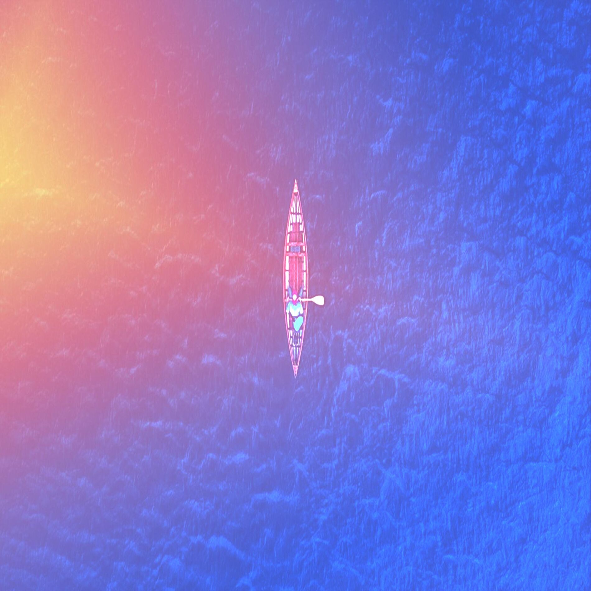 Album cover of whale