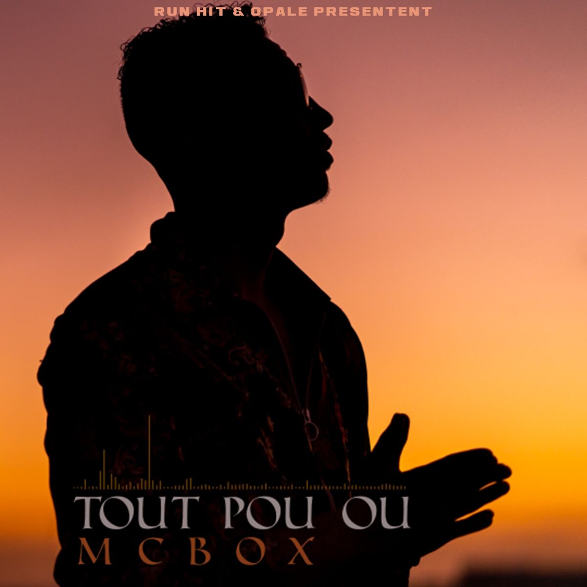 Album cover of Tout pou ou