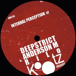 Cover of Internal Perception