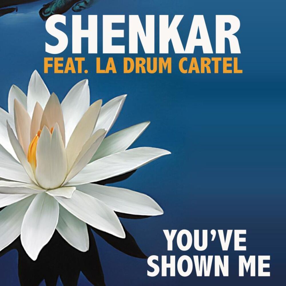 Picture of You've Shown Me (feat. LA Drum Cartel)