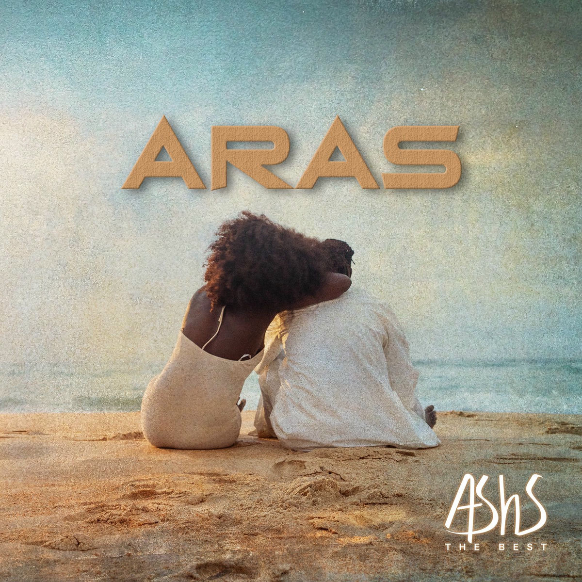 Album cover of Aras