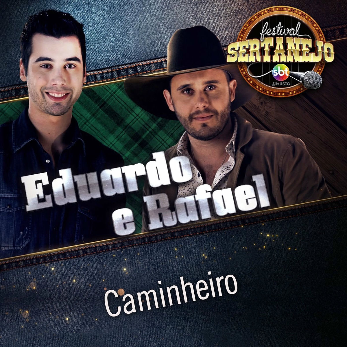 Album cover of Caminheiro: Festival Sertanejo (Ao Vivo)