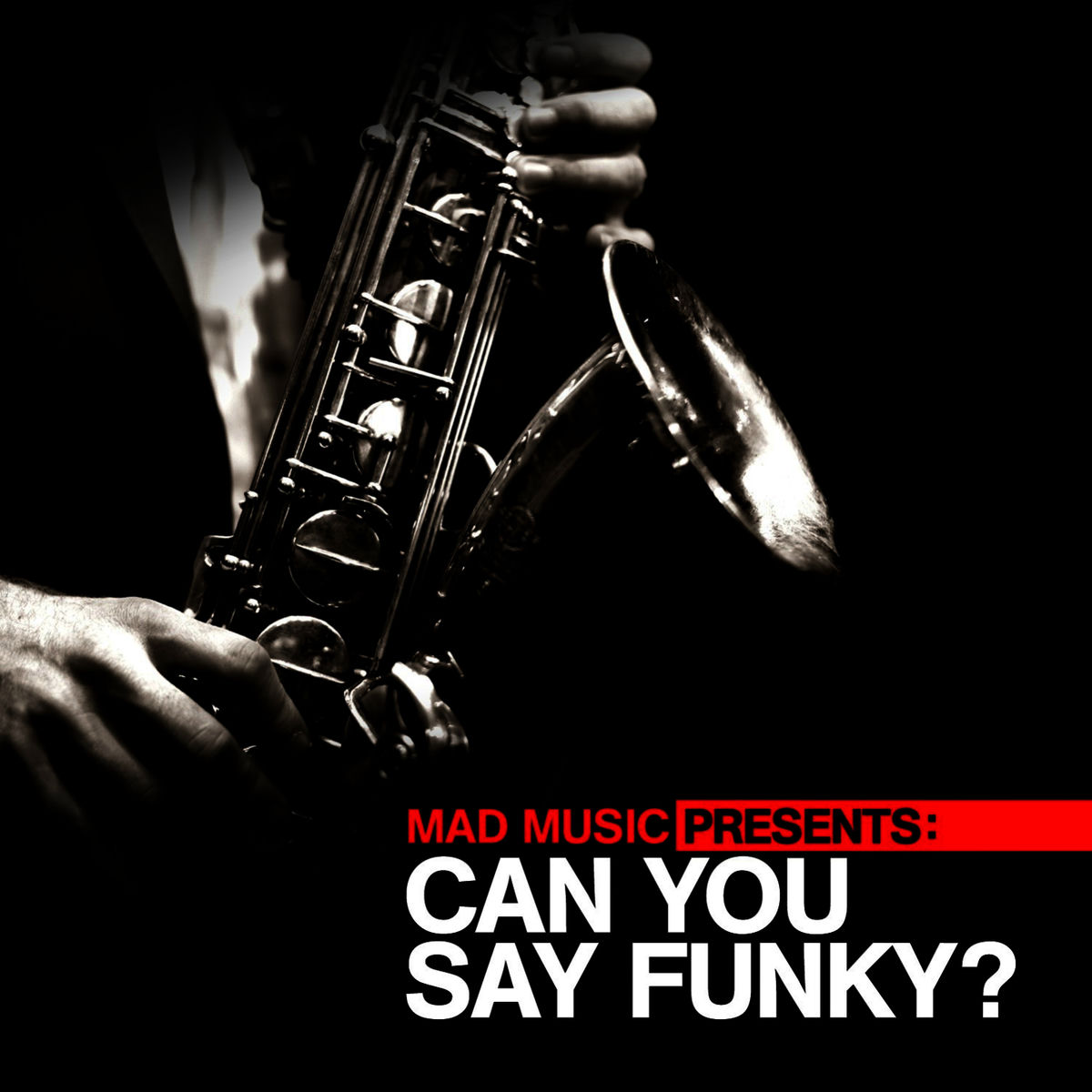 Album cover of Mad Music Presents Can You Say Funky?