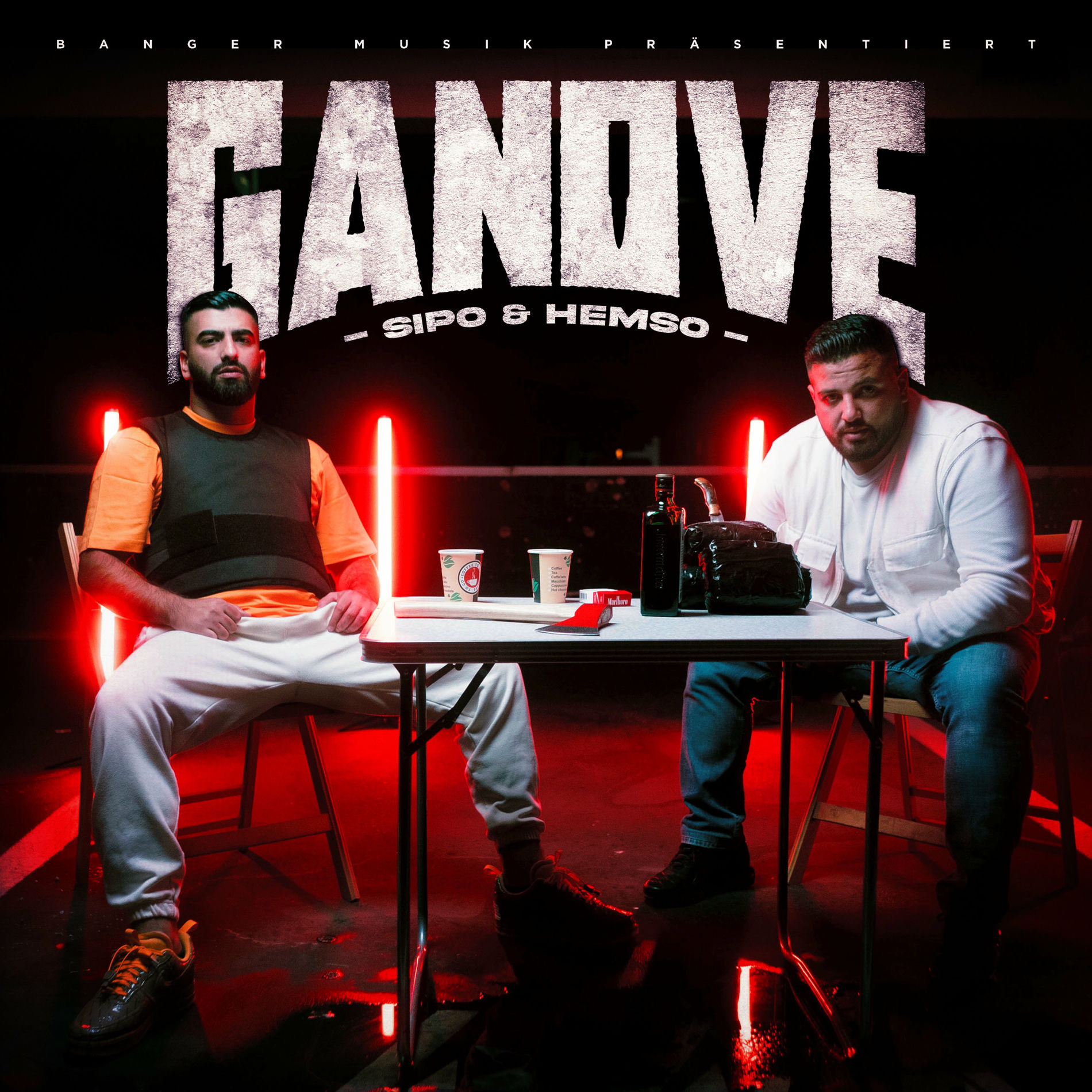 Album cover of GANOVE