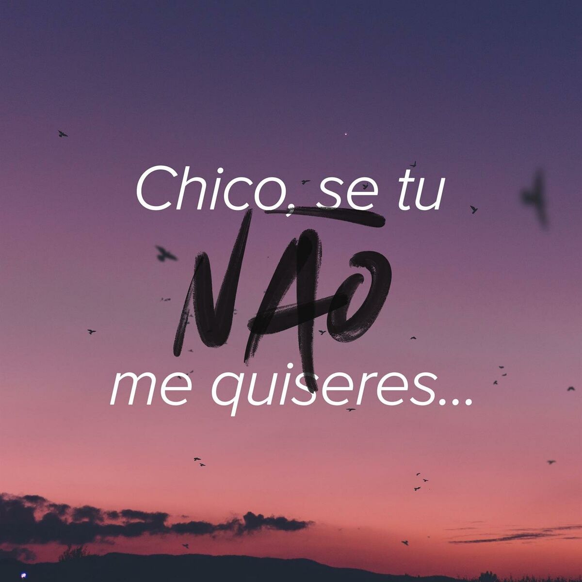 Album cover of Chico se tu não me quiseres…