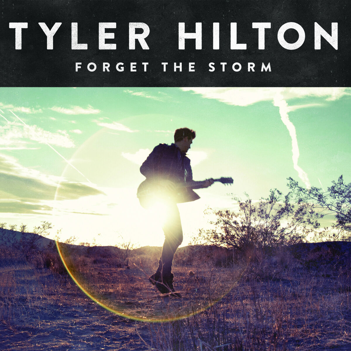 Album cover of Forget the Storm (Deluxe Version)