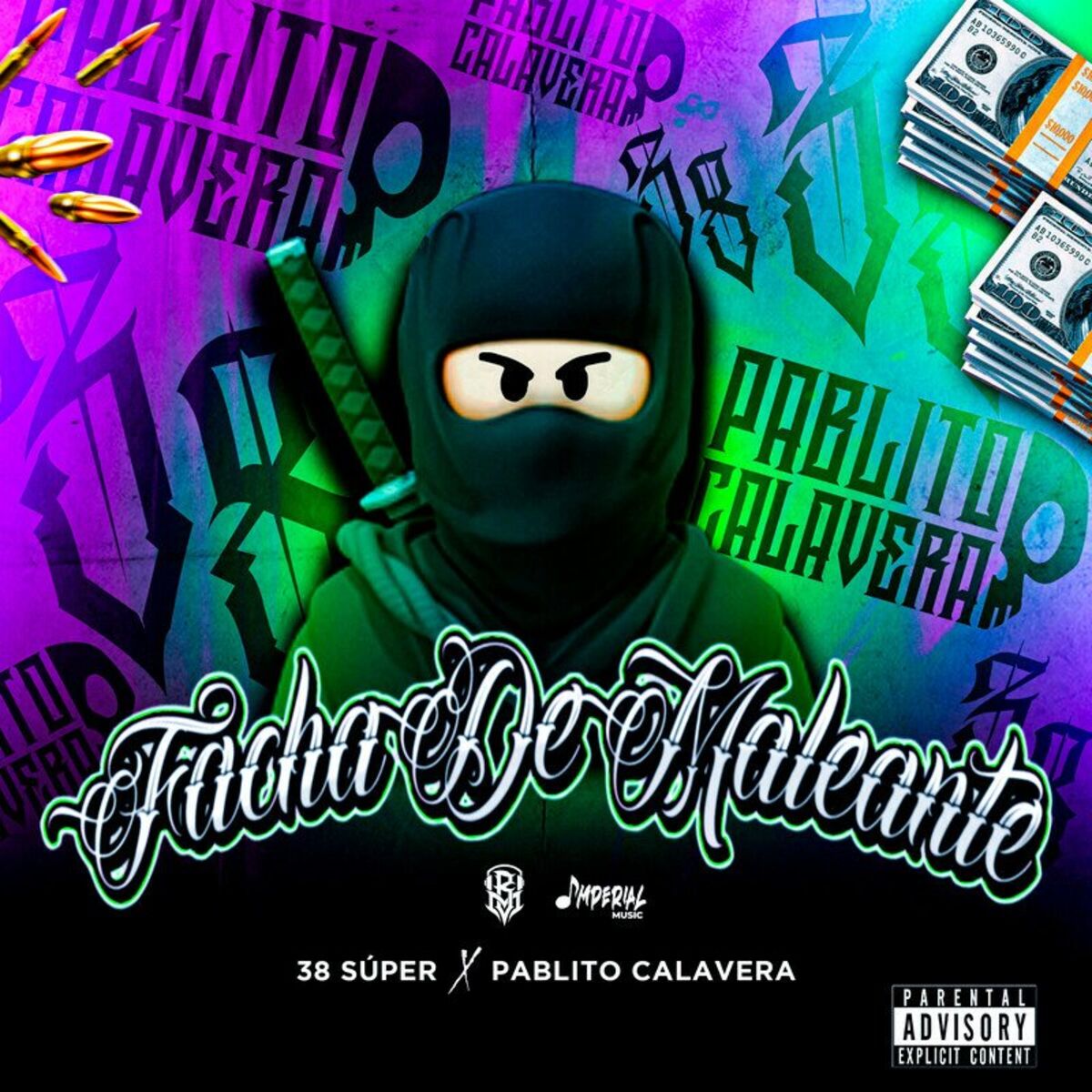 Album cover of Facha De Maleante