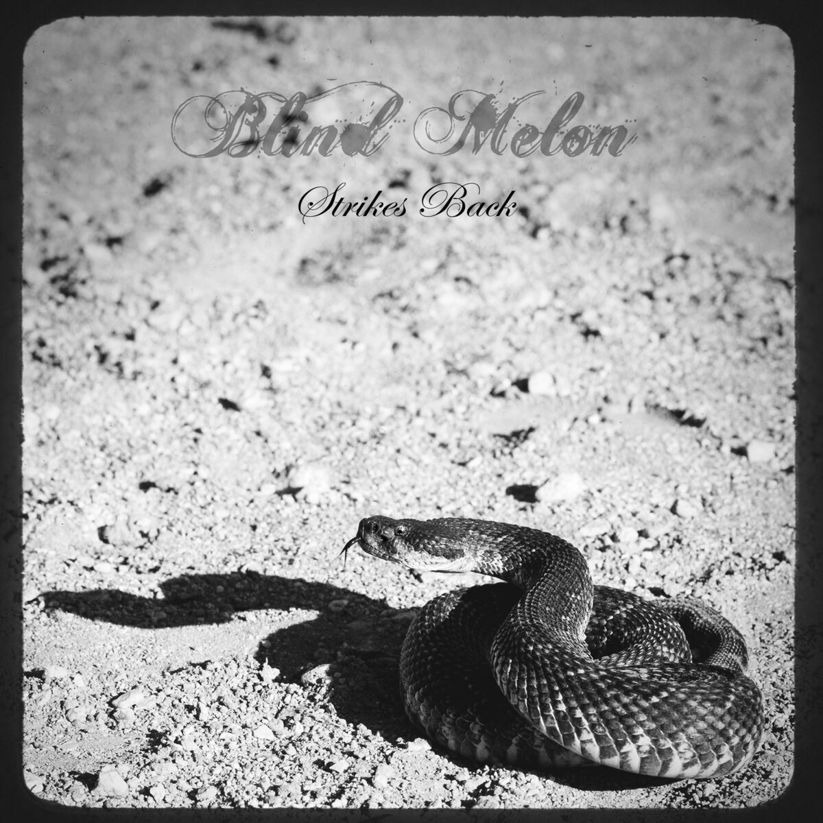 Album cover of Strikes Back