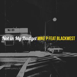 Cover of Not in My Budget