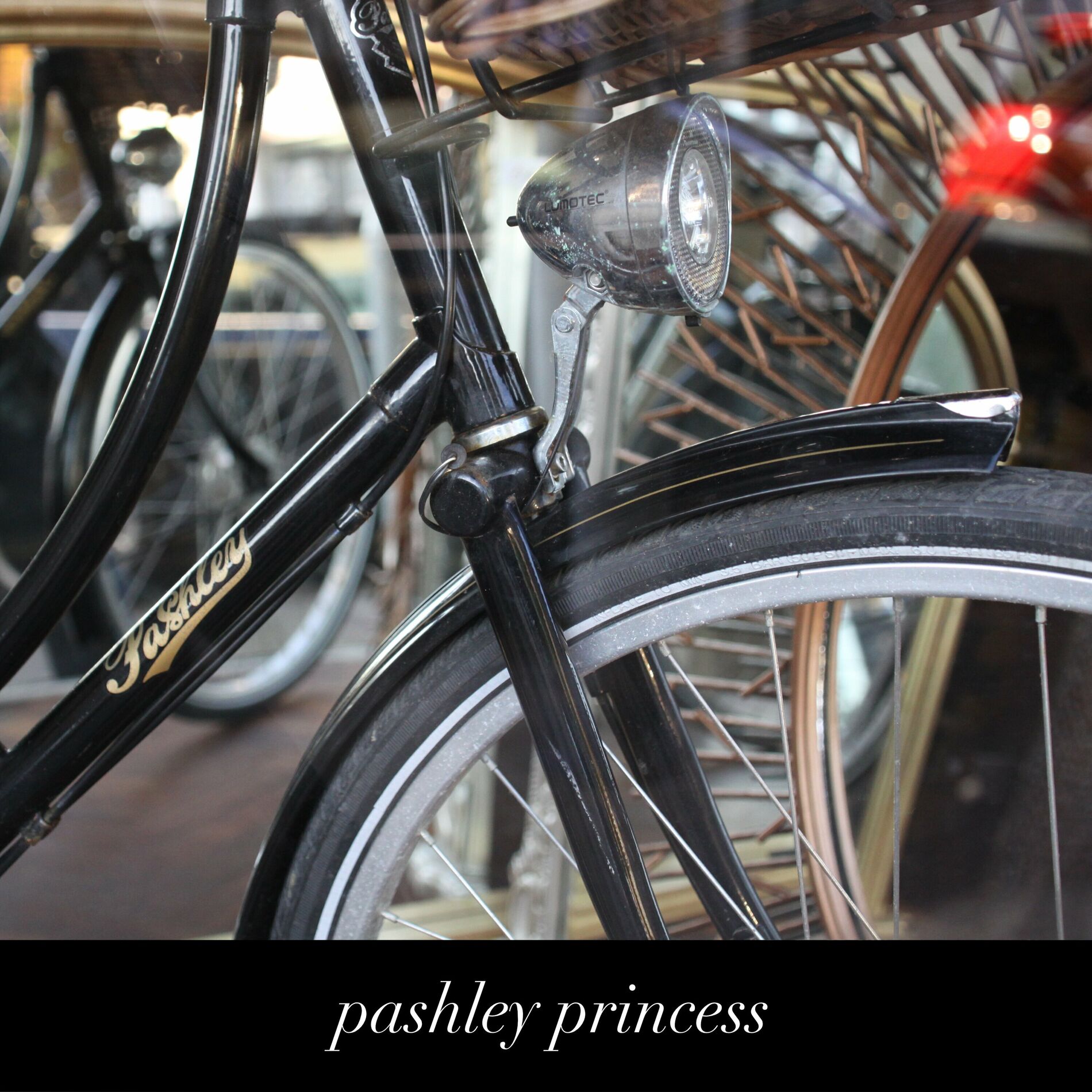 Album cover of pashley princess