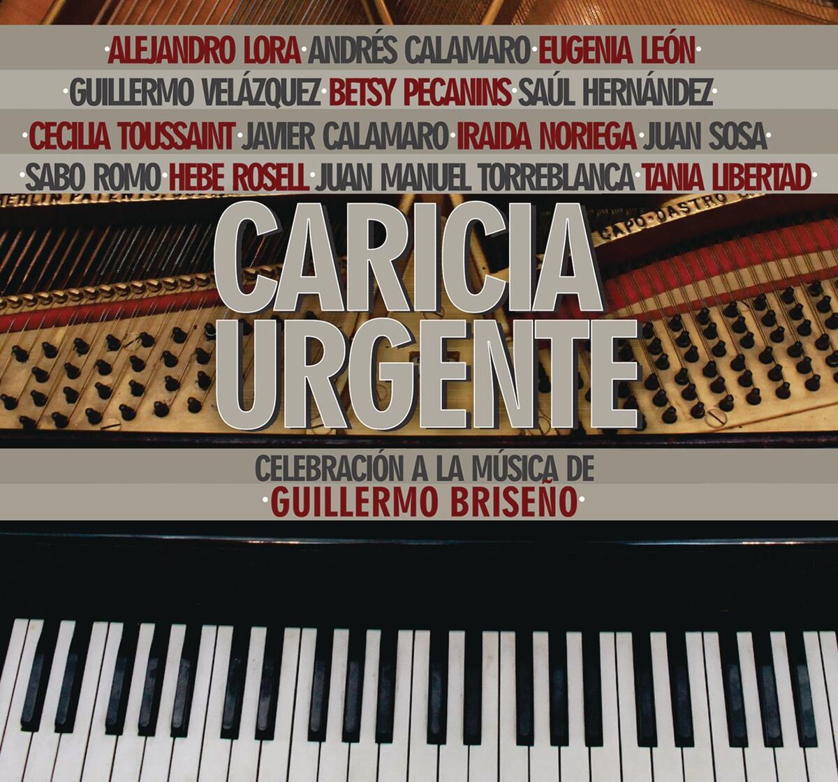 Album cover of La Gata Hidráulica