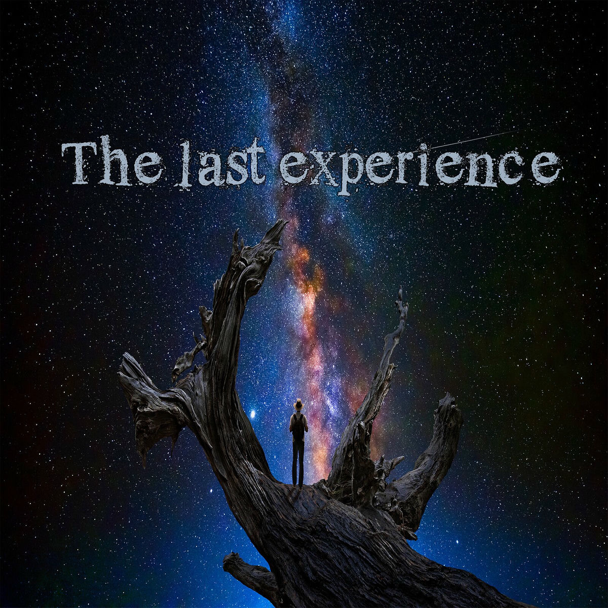 Album cover of The Last Experience